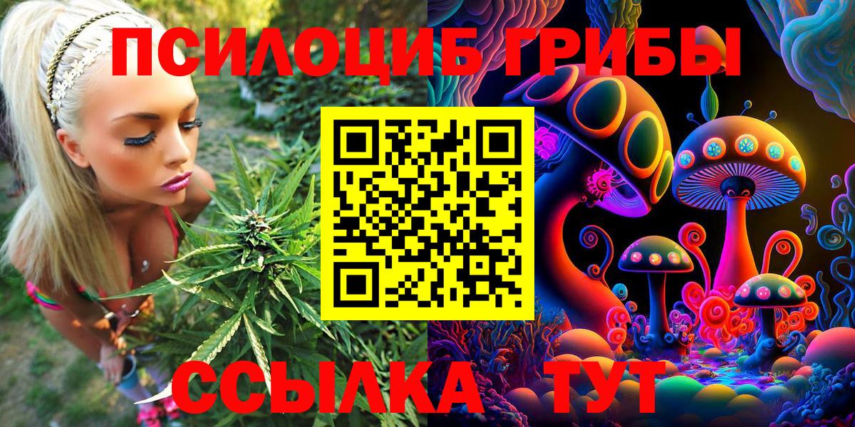 Галлюциногенные грибы мухоморы Великий Устюг