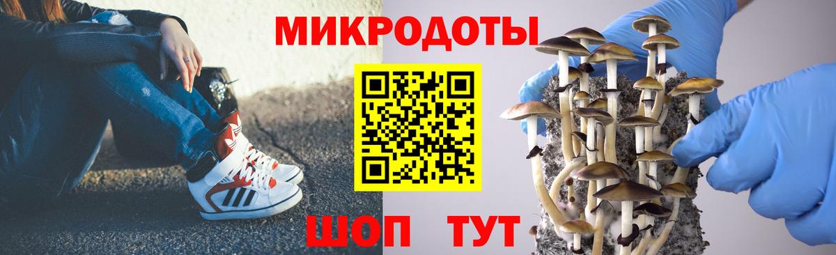 Великий Устюг  Галлюциногенные грибы мицелий  Вход с VPN  Псилоцибиновые грибы Cubensis 